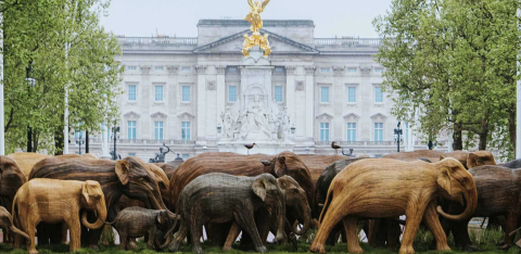 The Great Elephant Migration at Buckingham Palace, Nonprofit organization PHOTO: Instagram